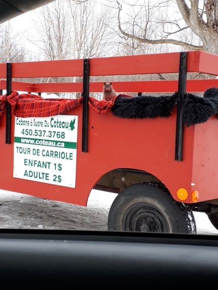 Cabane à sucre du Coteau | 2200 Chemin du Coteau - des - Hêtres S, Saint-André-dArgenteuil, QC J0V 1X0, Canada | Phone: (450) 537-3768