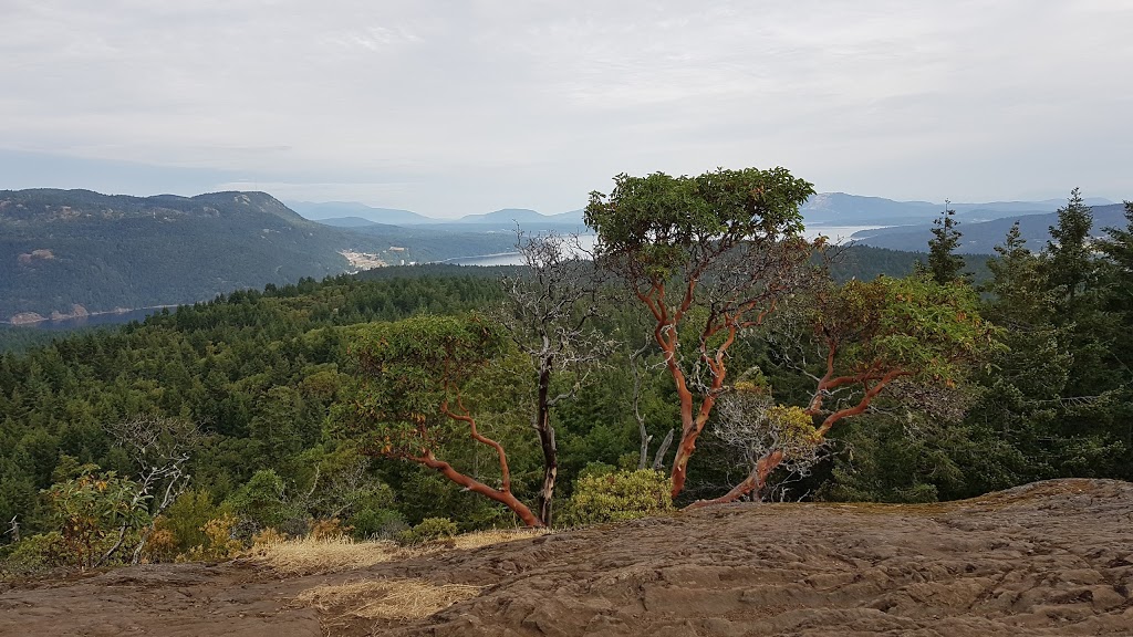 Mount Work Regional Park - Ross Durrance Road Parking Lot | Ross Durrance Rd, Victoria, BC V9E 1G8, Canada