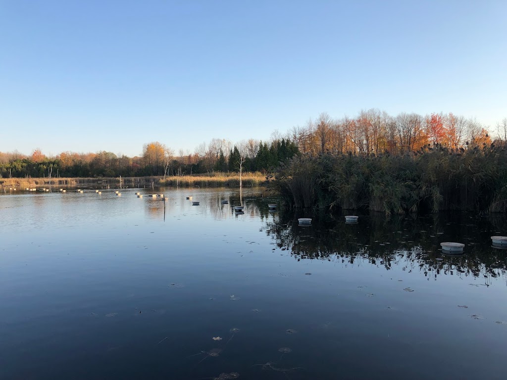 Parc-nature du Bois-de-LÎle-Bizard Grand walkway | LÎle-Bizard, Montreal, QC H9C 1P5, Canada | Phone: (514) 280-6778