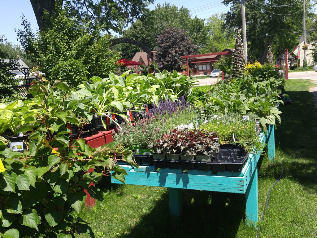 Redberry Gardens | 106 Main St, Glencoe, ON N0L 1M0, Canada | Phone: (519) 709-6730