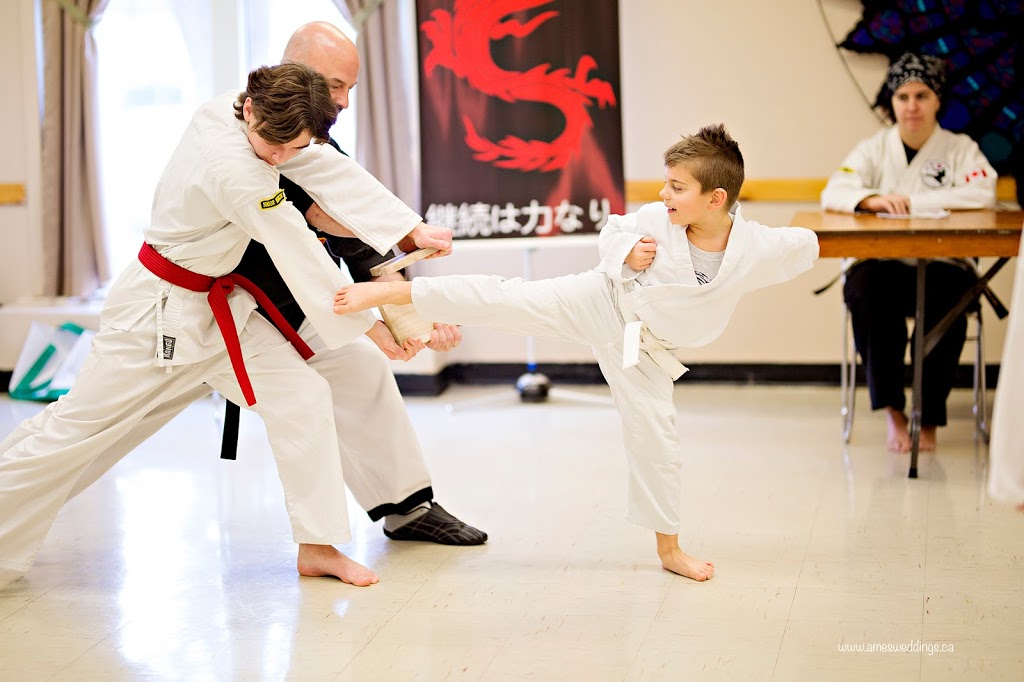 Way Of Harmony School Of Martial Arts | 300 South St, Belle River, ON N0R 1A0, Canada | Phone: (519) 890-2059