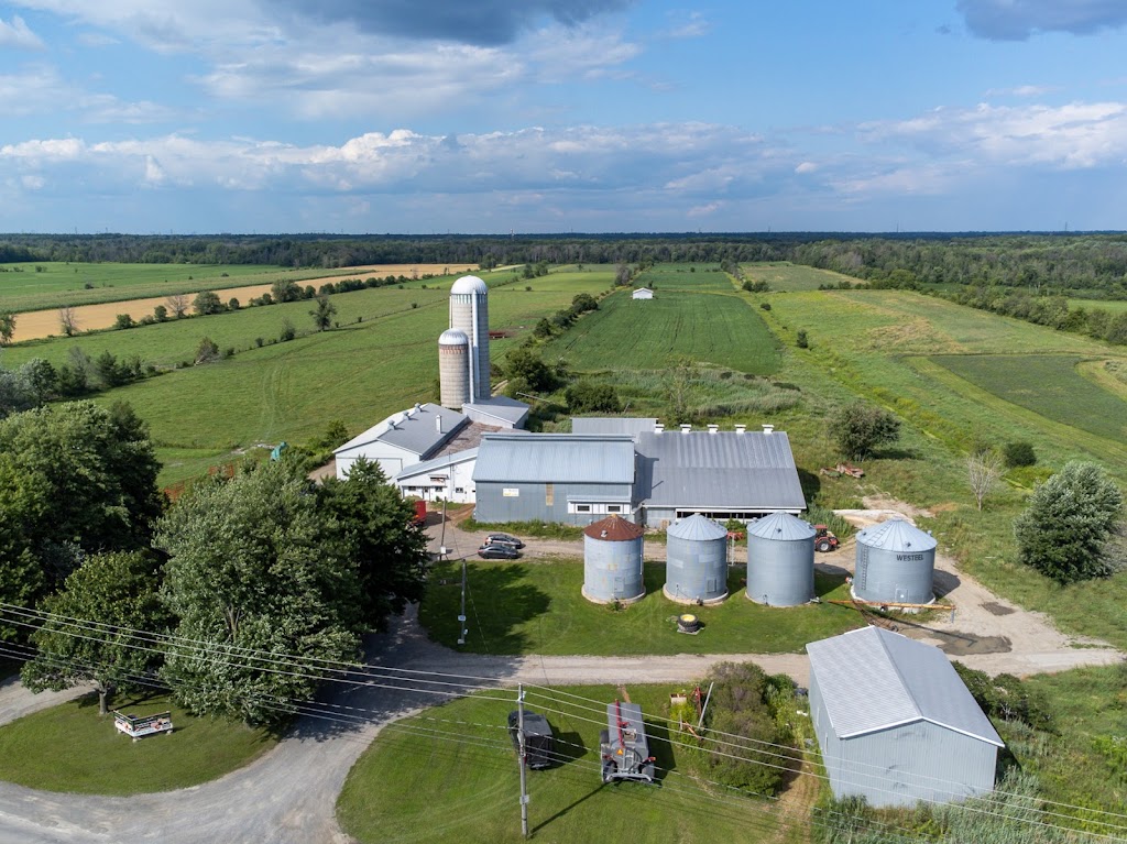 Ferme Dausyl | 7373 Chem. du Chicot N, Mirabel, QC J7N 2H7, Canada | Phone: (450) 475-7812