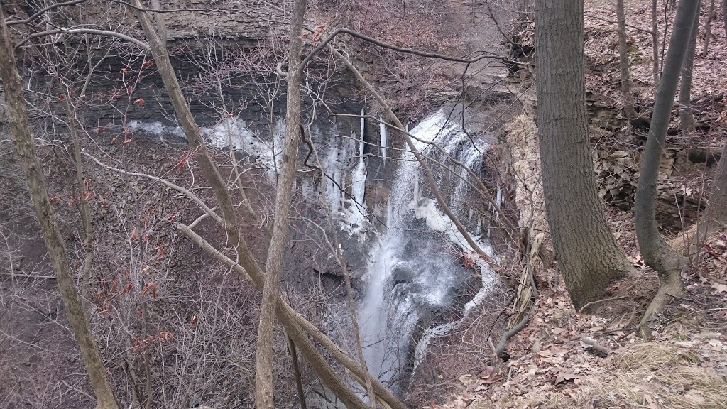 Felkers Falls | 43 Ackland St, Hamilton, ON L8J 1J4, Canada