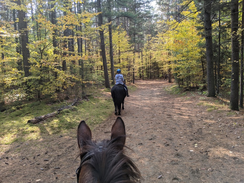 Cavalière dà côté / Equestrian Next Door | PO 1082, Saint-Lazare, QC J7T 2Z7, Canada | Phone: (450) 455-6477