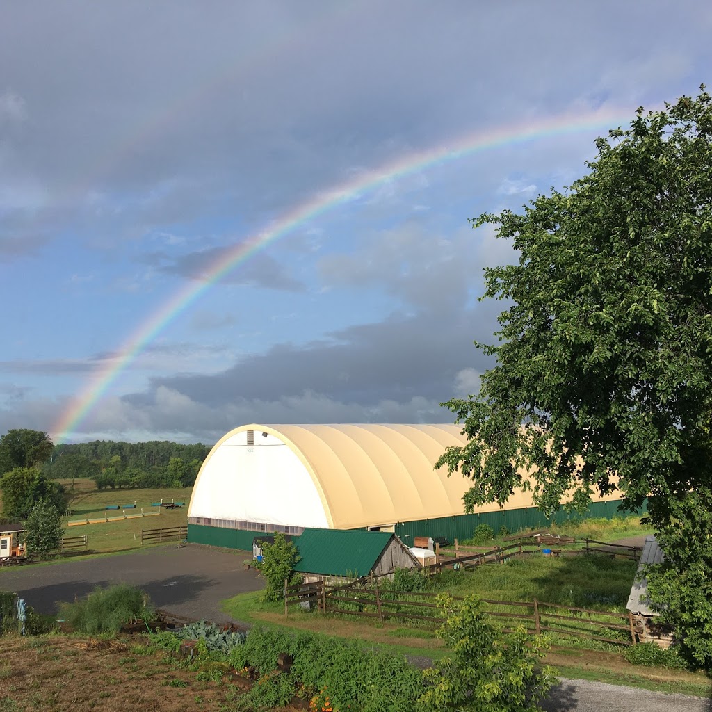 Meadowvale Farm Equestrian Centre | 1247 Corkery Rd, Carp, ON K0A 1L0, Canada | Phone: (613) 256-8170