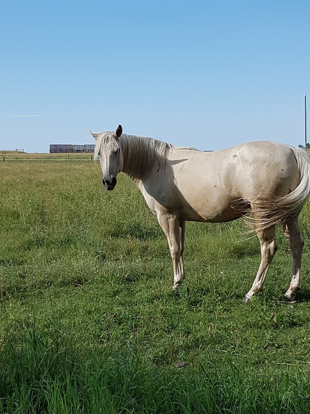 Nanton Golf Club | Highway 533 East, Nanton, AB T0L 1R0, Canada | Phone: (403) 646-2050