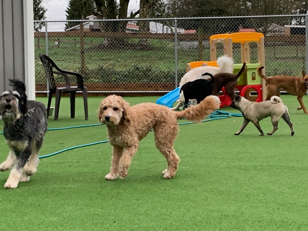 Adeles Doggie Daycare Countryside | 256 St, Langley Twp, BC V4W 2J9, Canada | Phone: (604) 996-9325