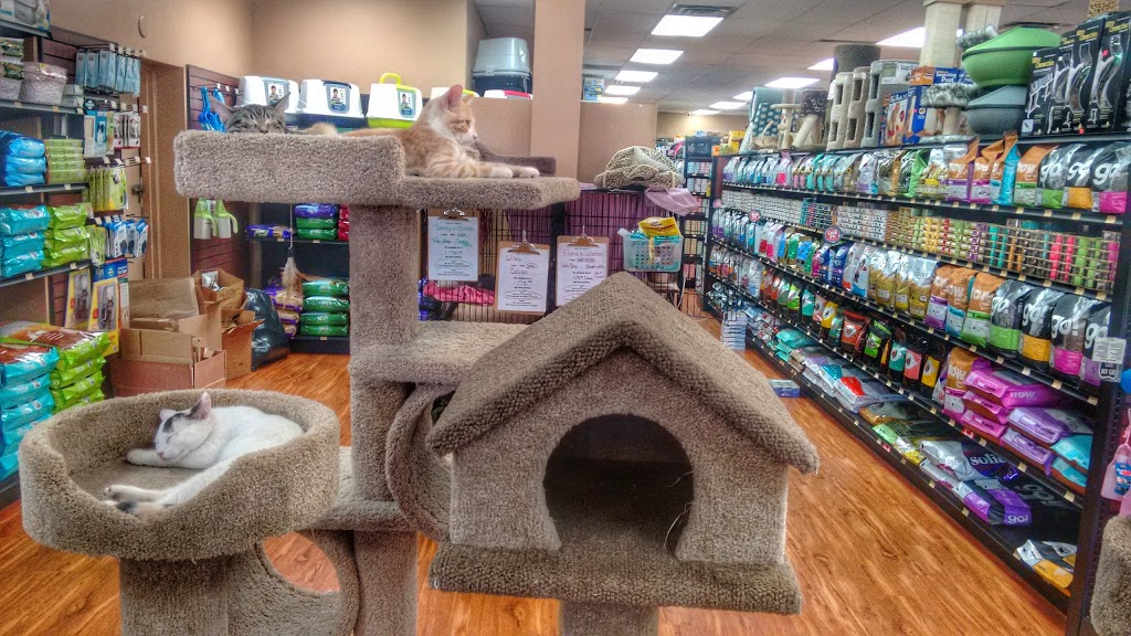 Pet Valu | 125 The Queensway, Etobicoke, ON M8Y 1H6, Canada | Phone: (647) 351-2088