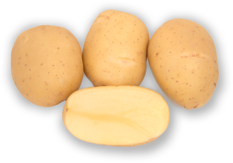 Real Potatoes Ltd | 614 Capital Dr, Cornwall, PE C0A 1H8, Canada | Phone: (902) 368-2669