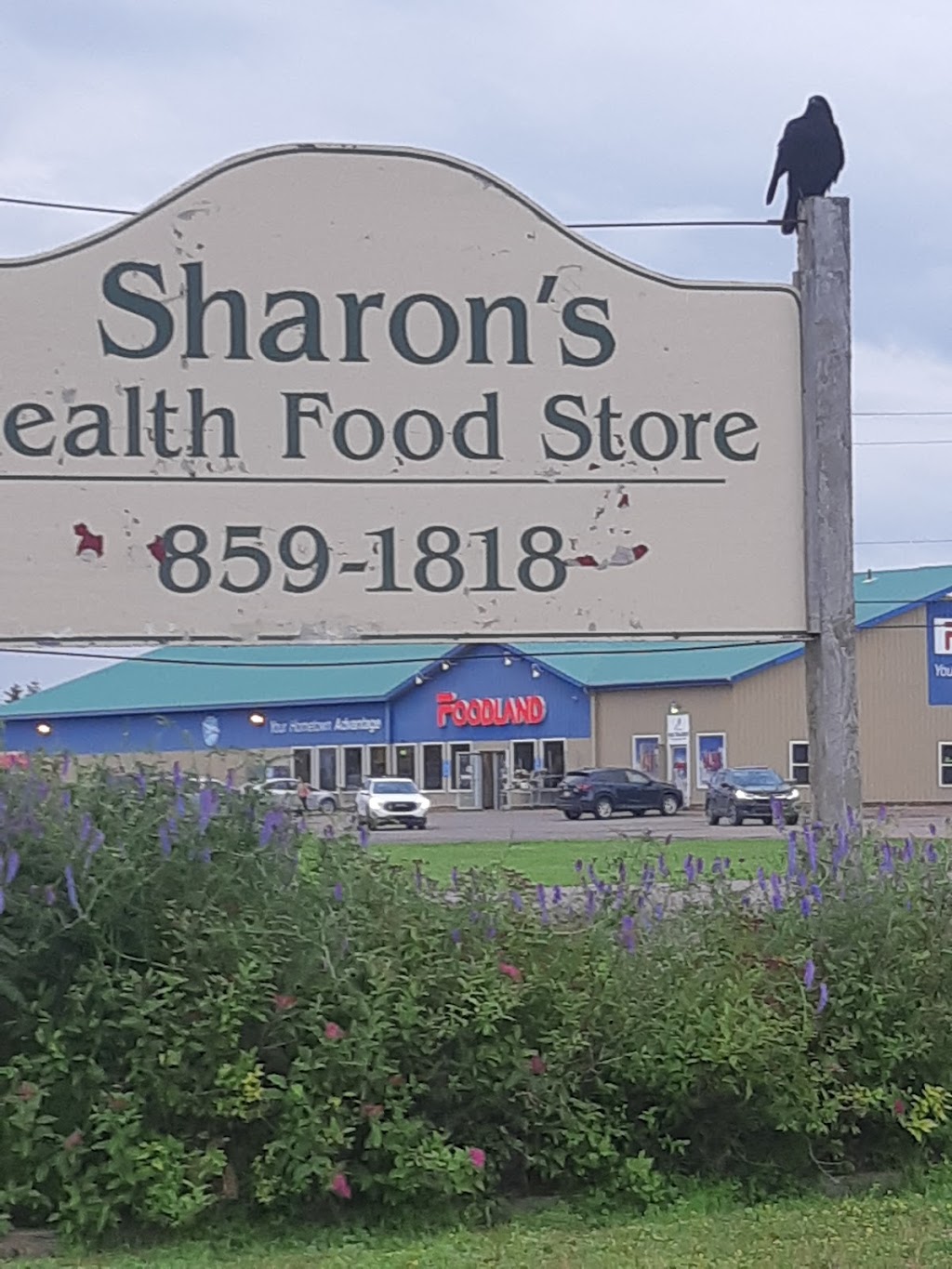 Sharons Health Food Store | 2228 Ohalloran Rd, Bloomfield, PE C0B 1E0, Canada | Phone: (902) 859-1818