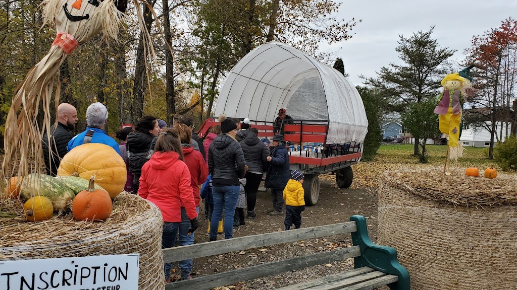 Ferme La Rouquine Inc | Rang Sainte-Famille, Chicoutimi, QC G7H 7W4, Canada | Phone: (418) 549-6850