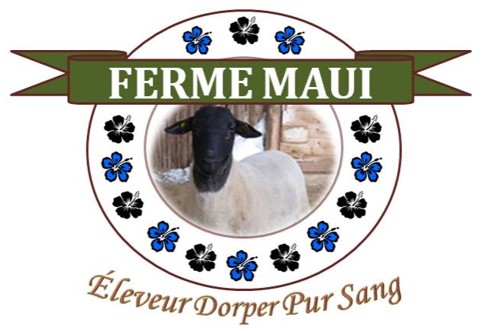 Agneau Ferme Maui | 251 Chemin du Ctre, Knowlton, QC J0E 1V0, Canada | Phone: (450) 577-0315