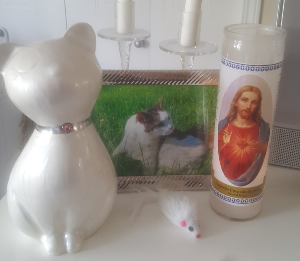 Faithful Friends Pet Memorial Services | 3636 Claxton Pl SW, Edmonton, AB T6W 2K8, Canada | Phone: (780) 707-6599