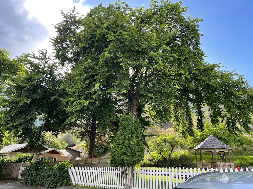 Lillooet Visitor Information Centre | 643 Russell Ln #1, Lillooet, BC V0K 1V0, Canada | Phone: (250) 256-6808