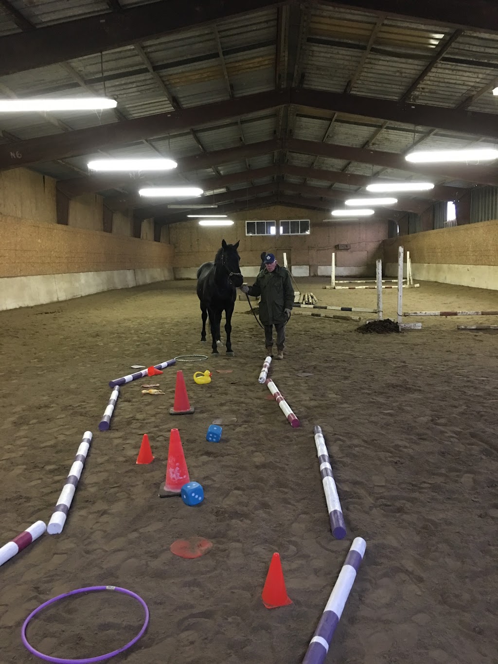 Horse Logic Equine Assisted Learning Centre | 12472 Chinguacousy Rd, Caledon, ON L7C 1Y9, Canada | Phone: (905) 867-8381