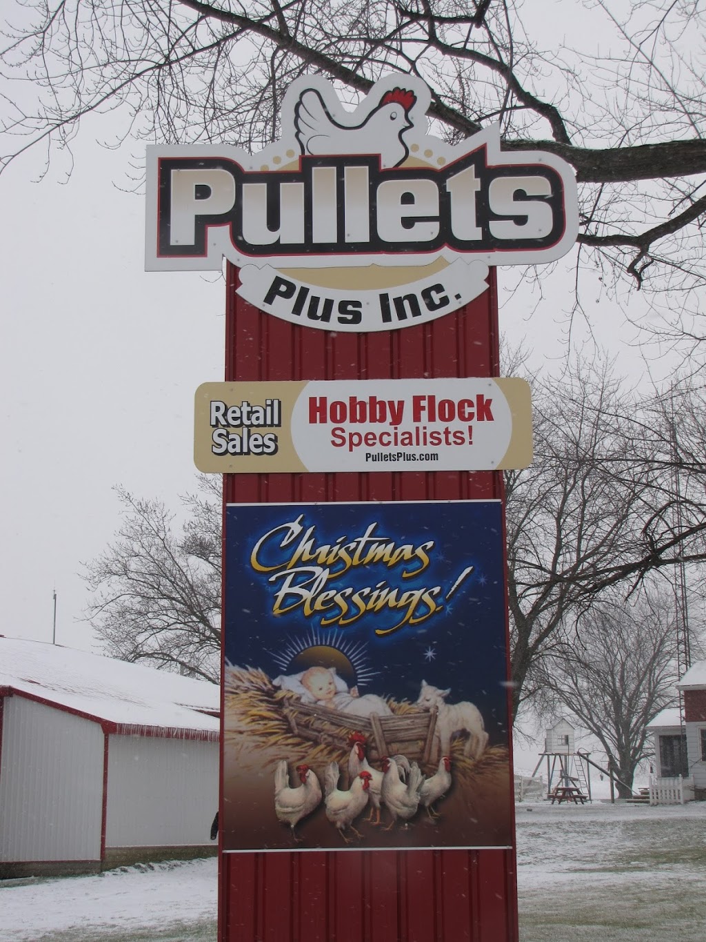 Pullets Plus Inc | 6880 Line 86, Elmira, ON N3B 2Z3, Canada | Phone: (519) 669-2225