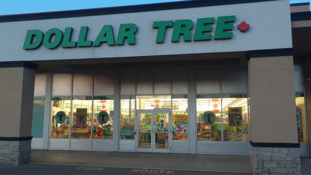 Dollar Tree | 2291 Kipling Ave, Etobicoke, ON M9W 4L6, Canada | Phone: (416) 749-8900