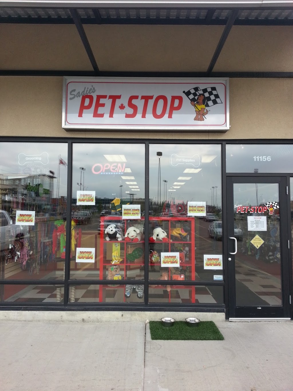 Sadies Pet Stop | 11156 Ellerslie Rd SW, Edmonton, AB T6W 1A2, Canada | Phone: (780) 989-3312