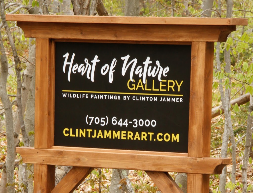 Heart of Nature Gallery | 1025 Pleasant View Point Rd, Port Carling, ON P0B 1J0, Canada | Phone: (705) 644-3000