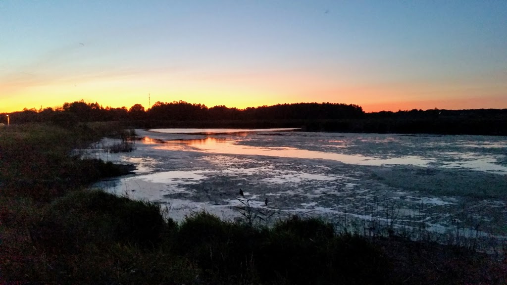 Port Rowan Restored Wetland | Norfolk County, ON N0E 1M0, Canada