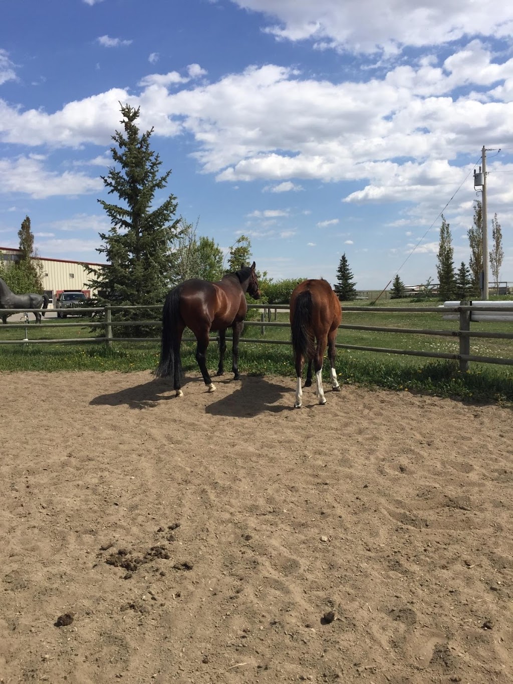 Bridleridge Equestrian Centre | 265110 Range Rd 273, Alberta T4A 2M1, Canada | Phone: (403) 630-1339