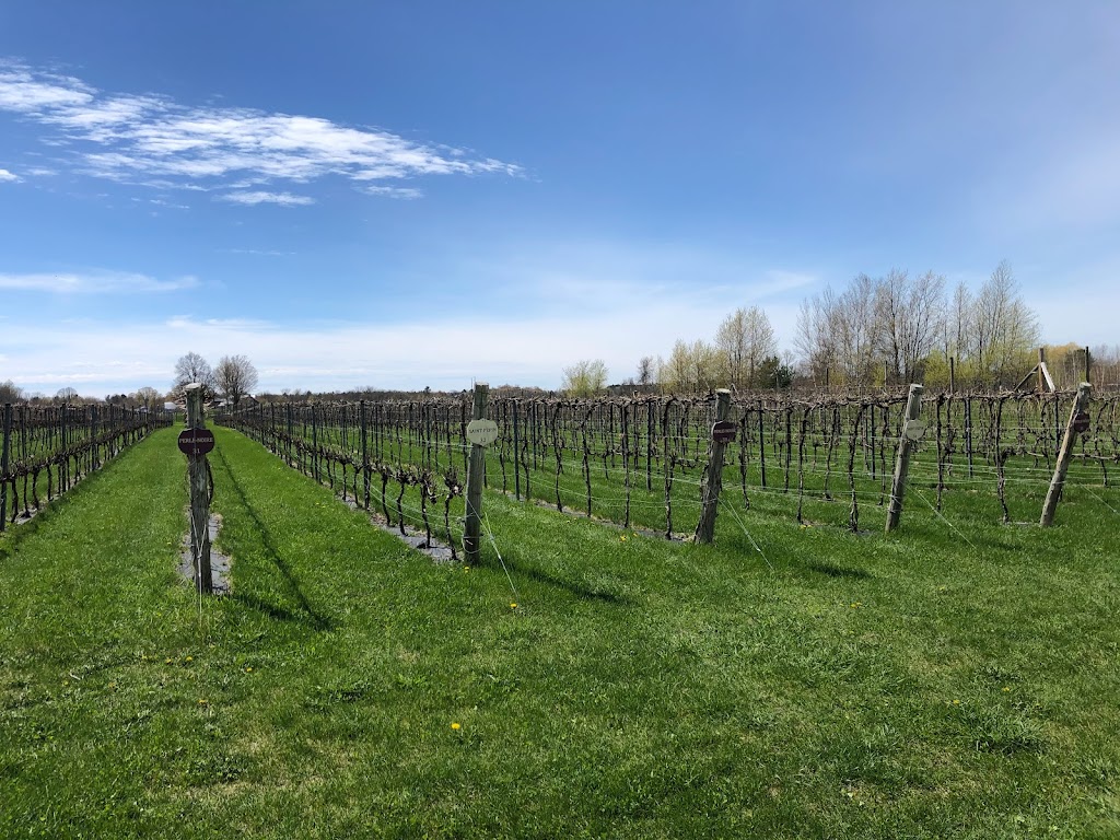 Vignoble Les Gémeaux | 766 ch 1st Concession, Hinchinbrooke, QC J0S 1A0, Canada | Phone: (514) 349-3061