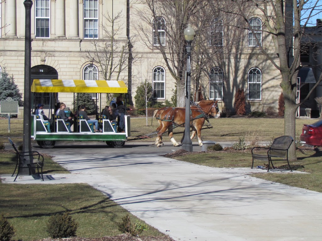 Evergreen Hill Farm- Horse Drawn Services | 687 St Johns Rd E, Port Dover, ON N0A 1N2, Canada | Phone: (519) 426-2155