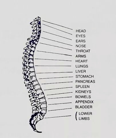 Durham Spine & Sports Clinic | 420 Green St Unit 103, Whitby, ON L1N 8R1, Canada | Phone: (289) 638-3086