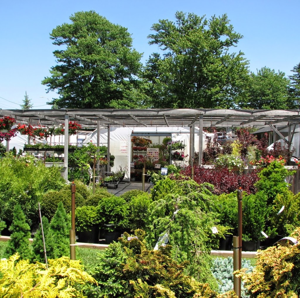 Backyard By Design Garden Centre | 399 North Town Line W, Ingersoll, ON N5C 3J6, Canada | Phone: (519) 485-2815