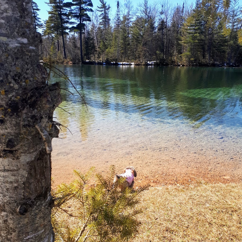 Blue Water Lakes Campground | 502141 Concession 10 NDR, Elmwood, ON N0G 1S0, Canada | Phone: (519) 369-5425