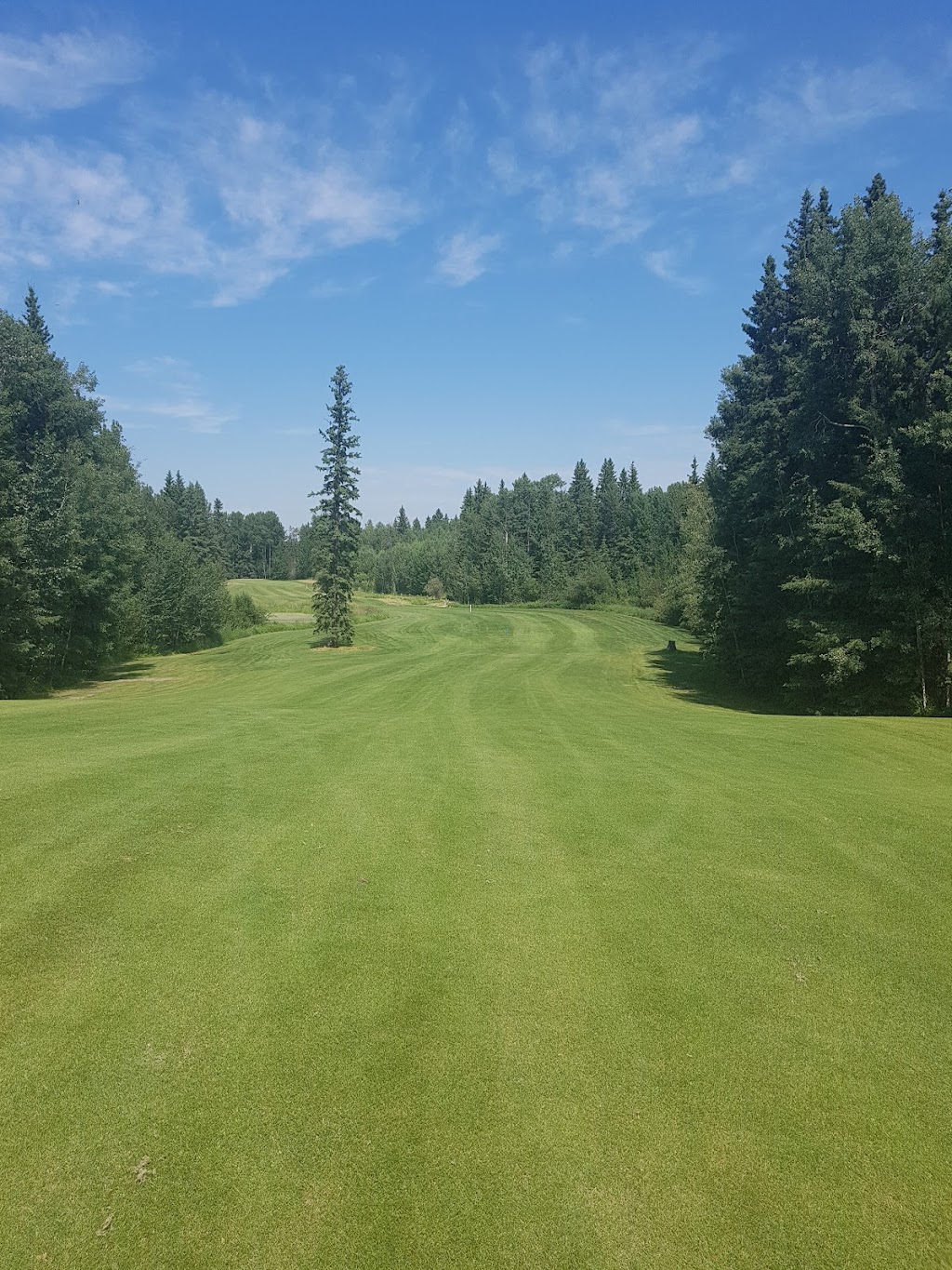 Silver Sands Golf Course | Township Rd 540, Fallis, AB T0E 0V0, Canada | Phone: (780) 797-2683