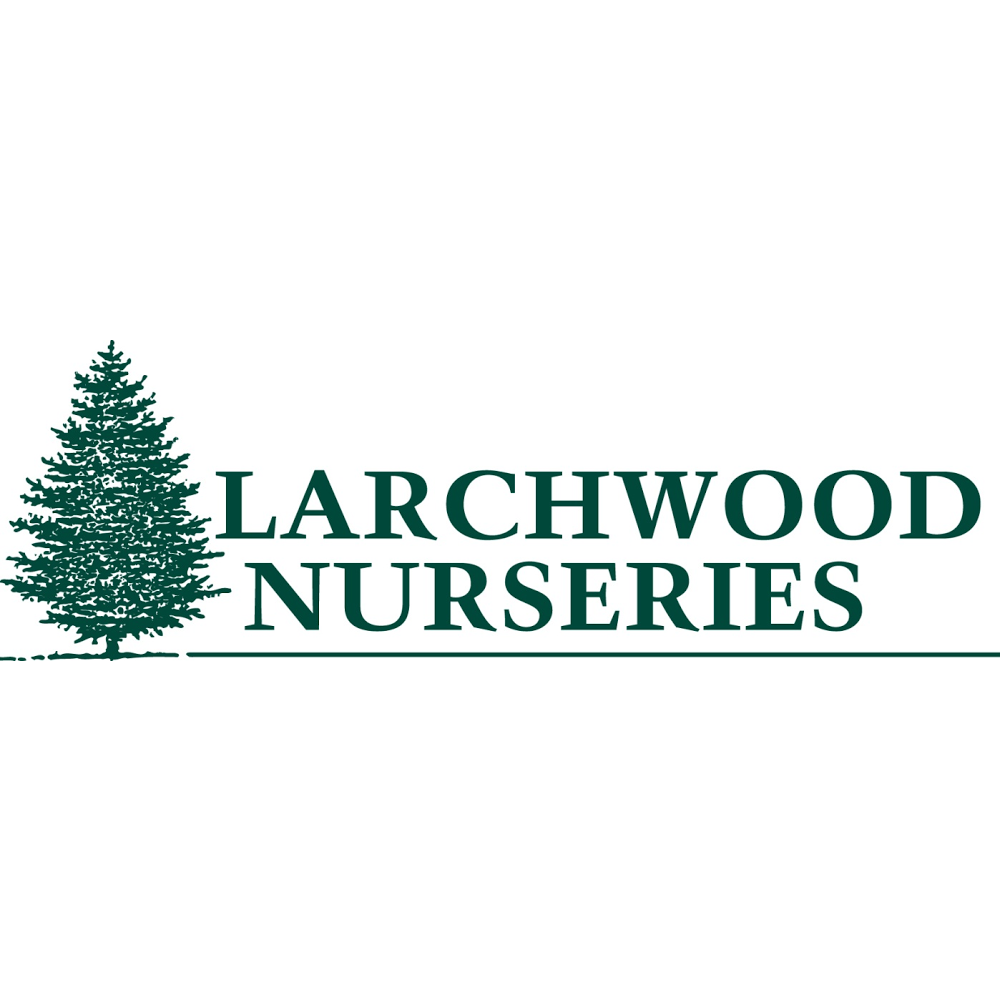 Larchwood Nurseries | 243015 Boundary Rd, Alberta T0J 1Y0, Canada | Phone: (403) 650-5635