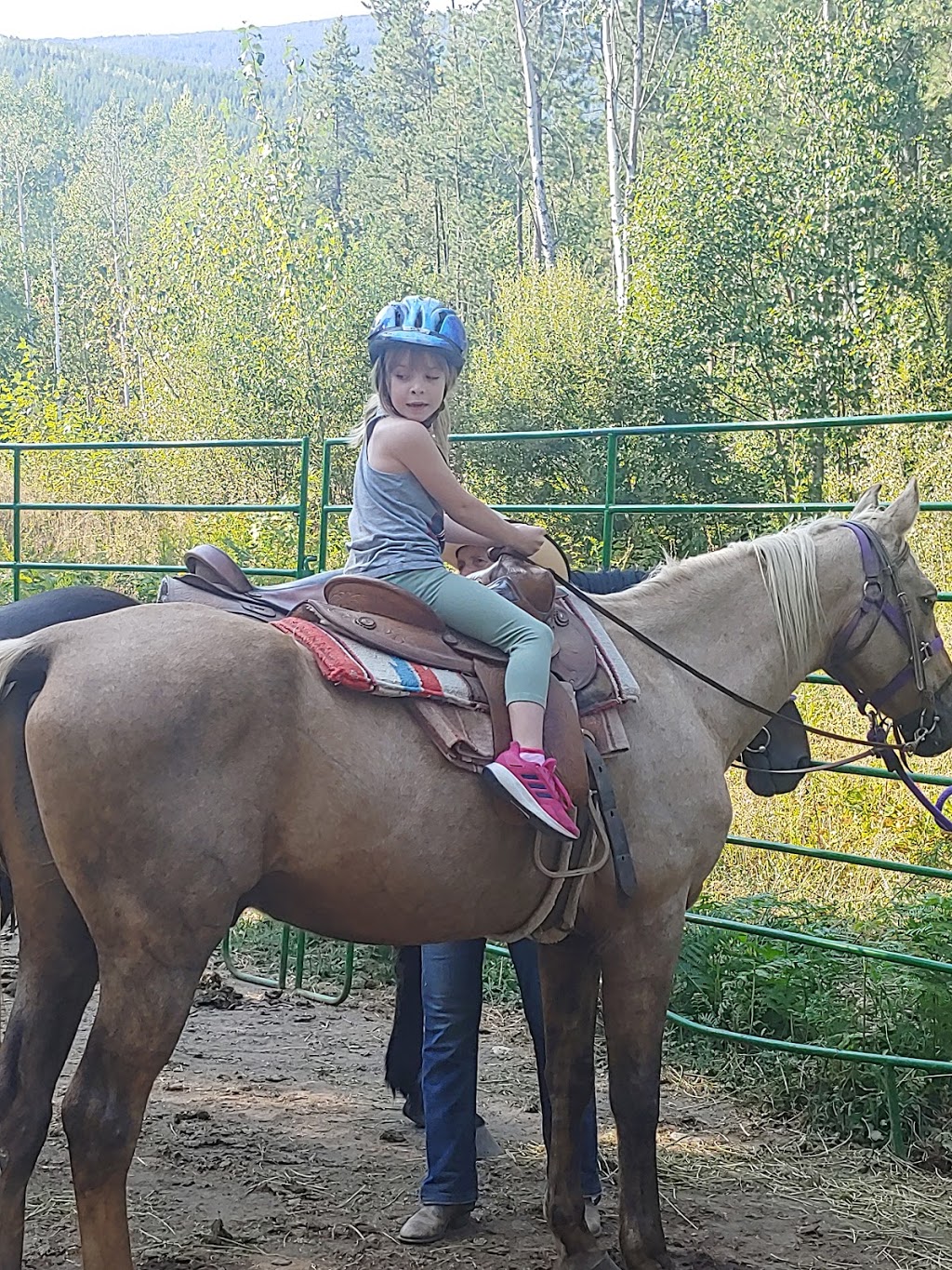 High Country Trail Rides | 1091 60 St NW, Salmon Arm, BC V1E 3B2, Canada | Phone: (250) 515-0667