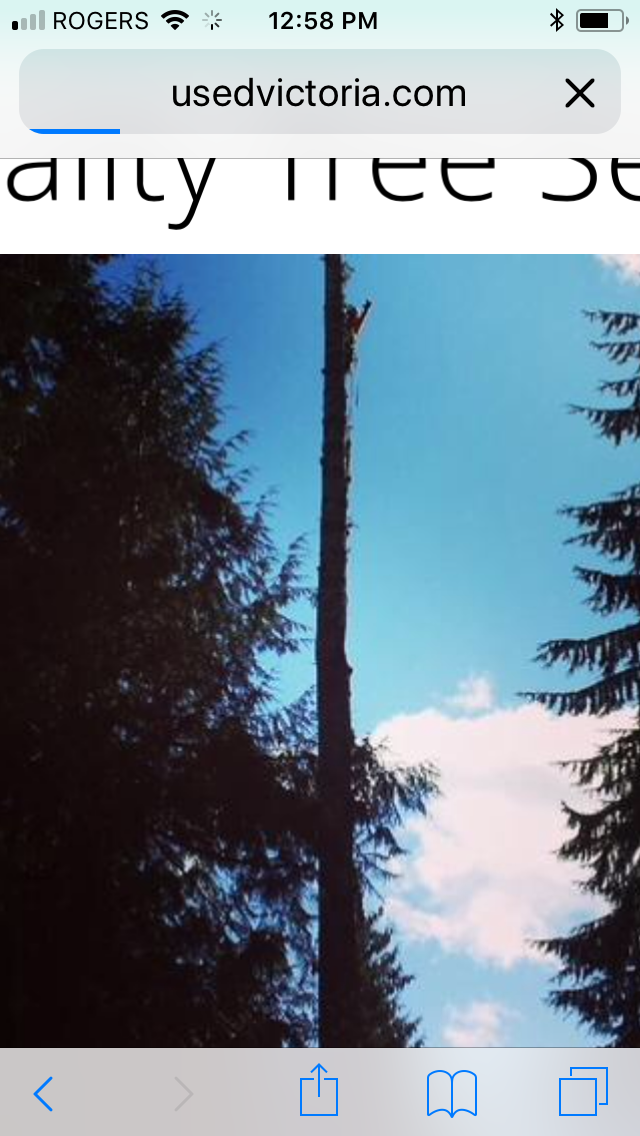 Quality Tree Service | 1672 Millstream Rd, Victoria, BC V9B 6E7, Canada | Phone: (250) 516-2303