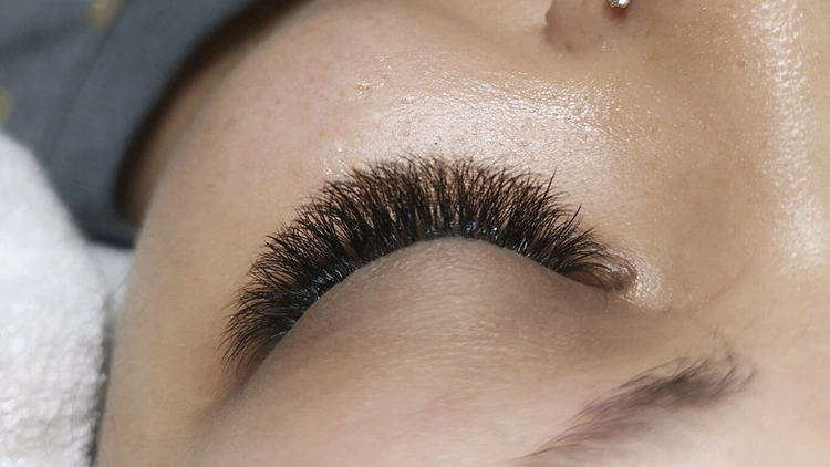 The Lash Collective | 255 Hastings Ave, Toronto, ON M4L 2L9, Canada | Phone: (647) 493-5509