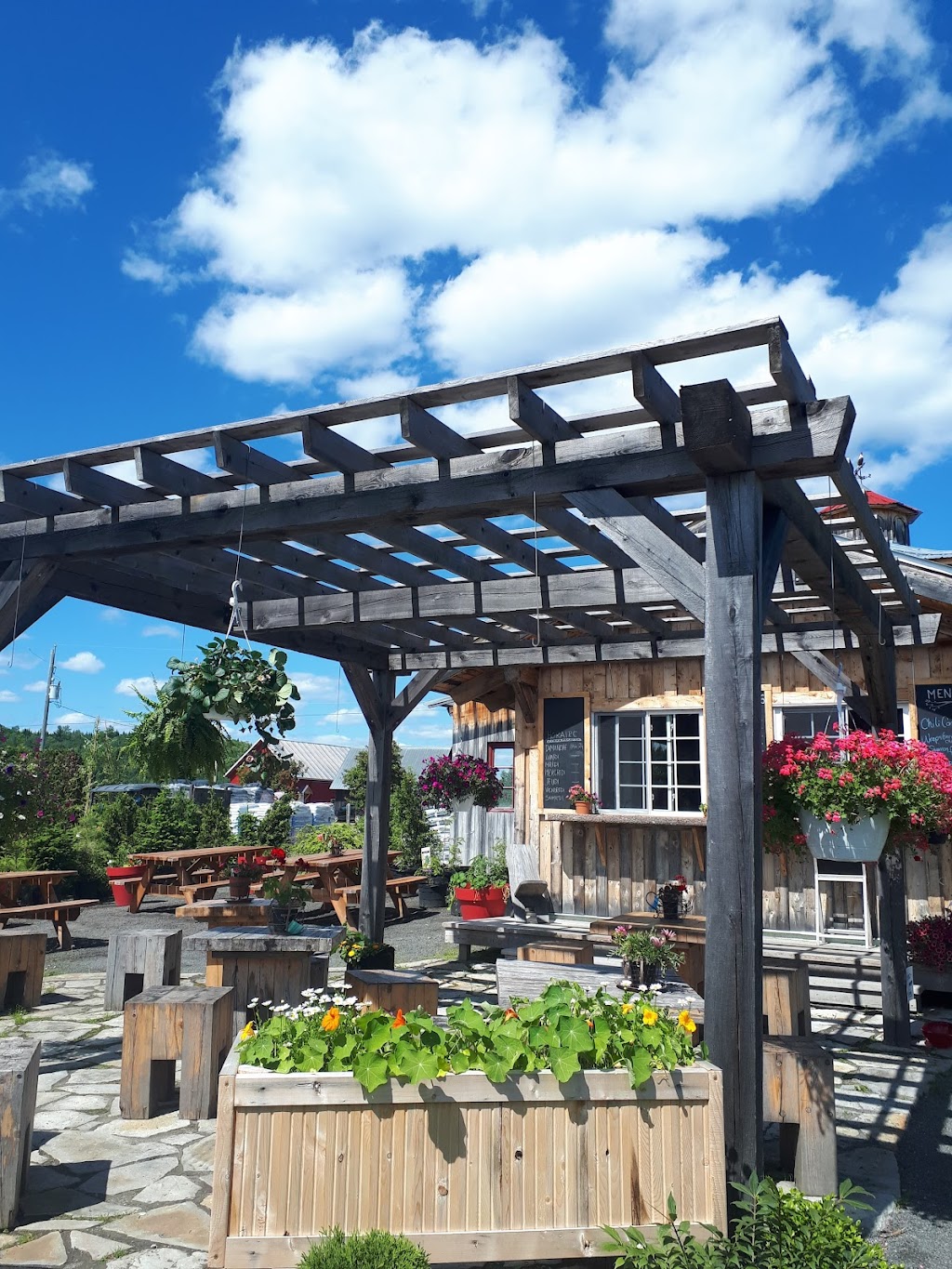 Café-Terrasse Labyrinthe Coureur des bois | 1311 Chemin St Joseph, Saint-Mathieu-du-Parc, QC G0X 1N0, Canada | Phone: (819) 532-2068