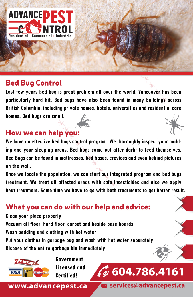 Pest Control Langley - Advance Pest | 19946 Brydon Crescent, Langley City, BC V3A 4A5, Canada | Phone: (604) 786-4161