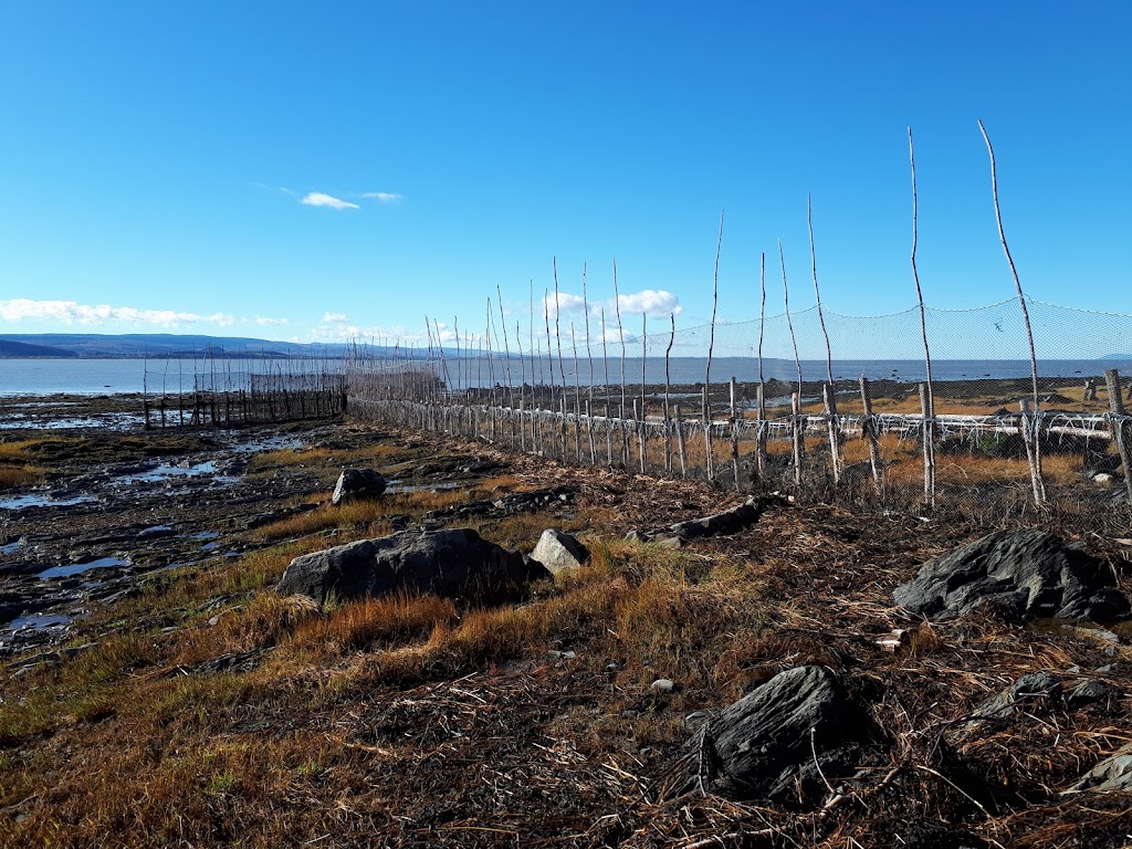 Les trésors du fleuve | 156 Chem. de la Petite Anse, Rivière-Ouelle, QC G0L 2C0, Canada | Phone: (418) 856-5660