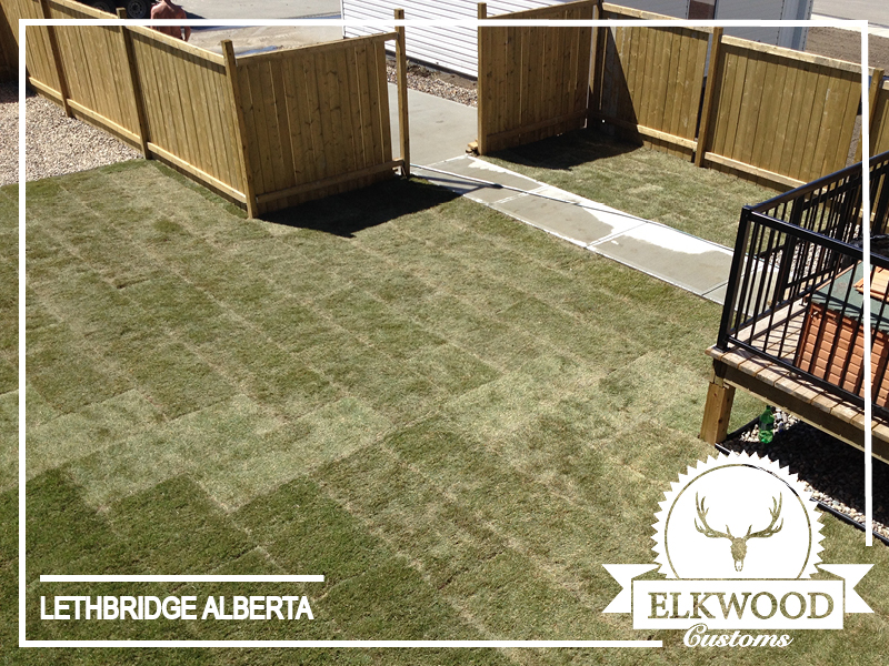 Better Green | 2313 22 St S, Lethbridge, AB T1K 2K1, Canada | Phone: (403) 849-7838