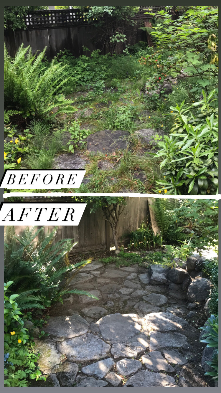 Landlady Landscaping | 851 W Queens Rd, North Vancouver, BC V7N 4E3, Canada | Phone: (778) 877-2201