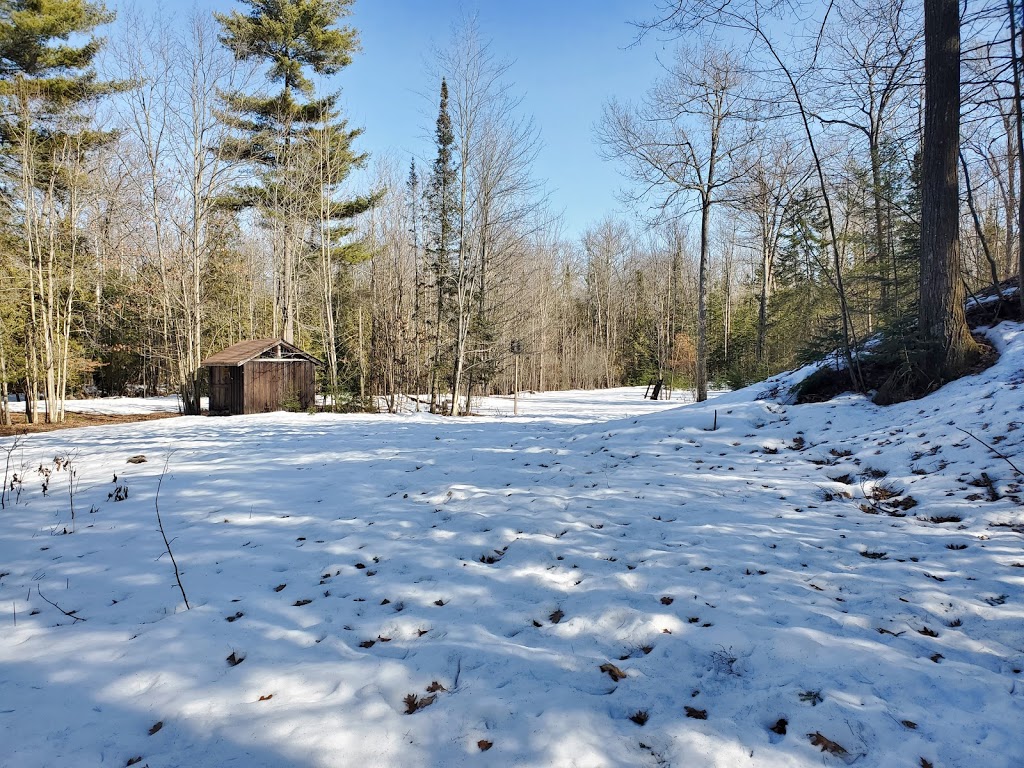 Camp Wildman | Concession Rd 8 W, Tiny, ON L0L 2J0, Canada | Phone: (416) 490-6364