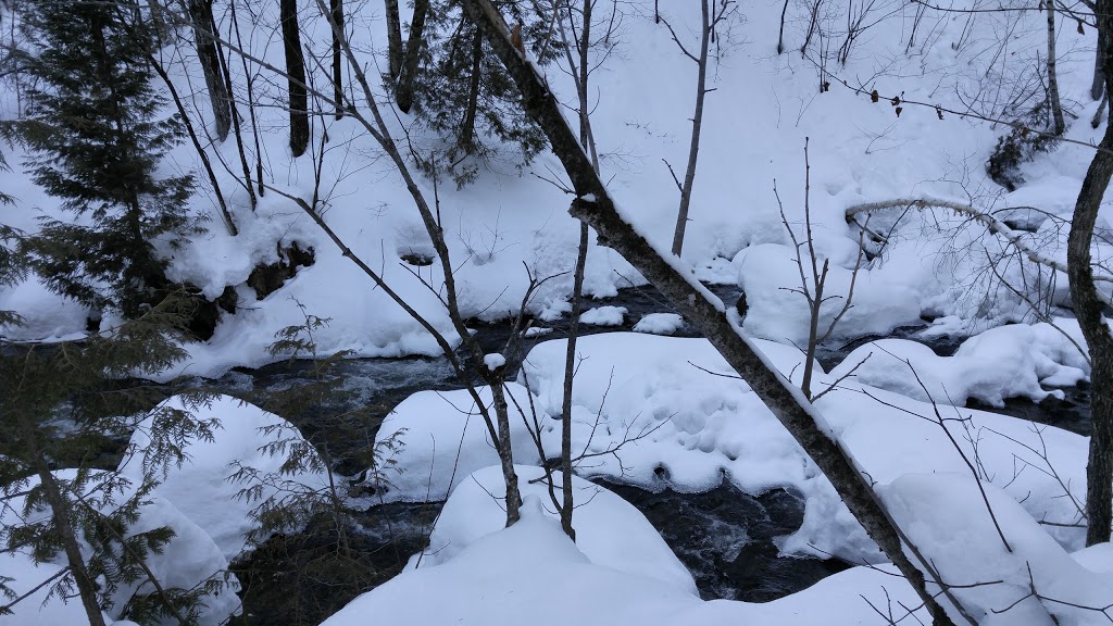 Parc des Résurgences | Boischatel, QC G0A 1H0, Canada