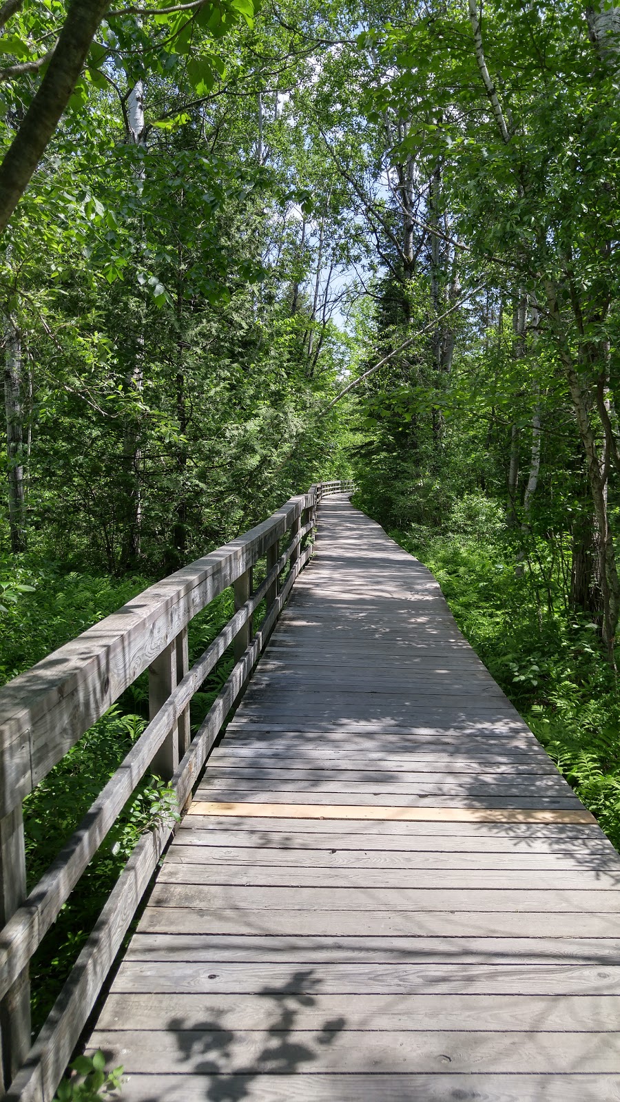 Marais de la Rivière aux Cerises | 69 Chemin Roy, Magog, QC J1X 0N4, Canada | Phone: (819) 843-8118