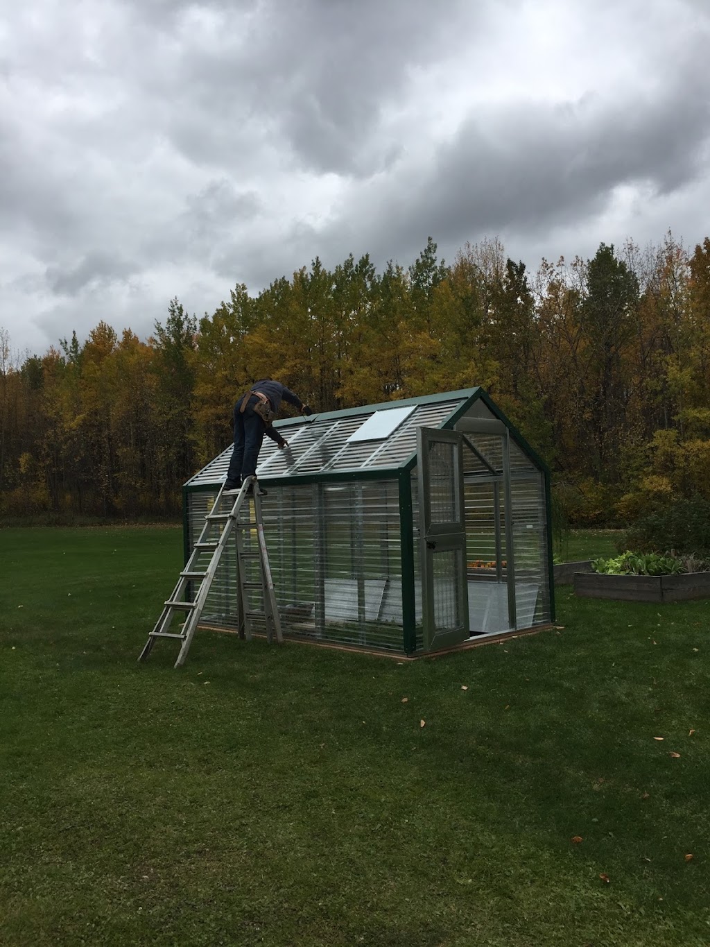 My Own Greenhouse | 50368, Range Rd 243, AB T4X 0N5, Canada | Phone: (780) 983-2344