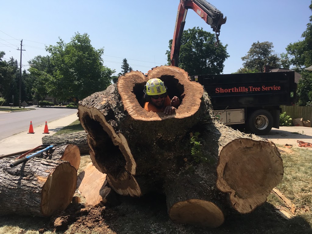 Shorthills Tree Service inc | 400 Chantler Rd, Welland, ON L3B 5N8, Canada | Phone: (905) 892-0261