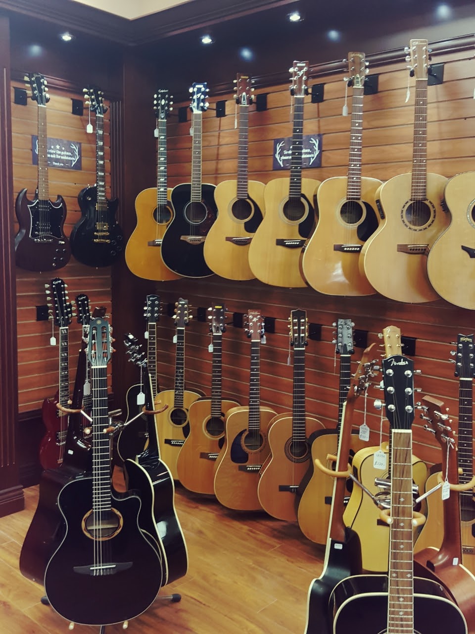 A-One Musical Instruments | 2641 Commercial Dr, Vancouver, BC V5N 4C3, Canada | Phone: (604) 875-8005