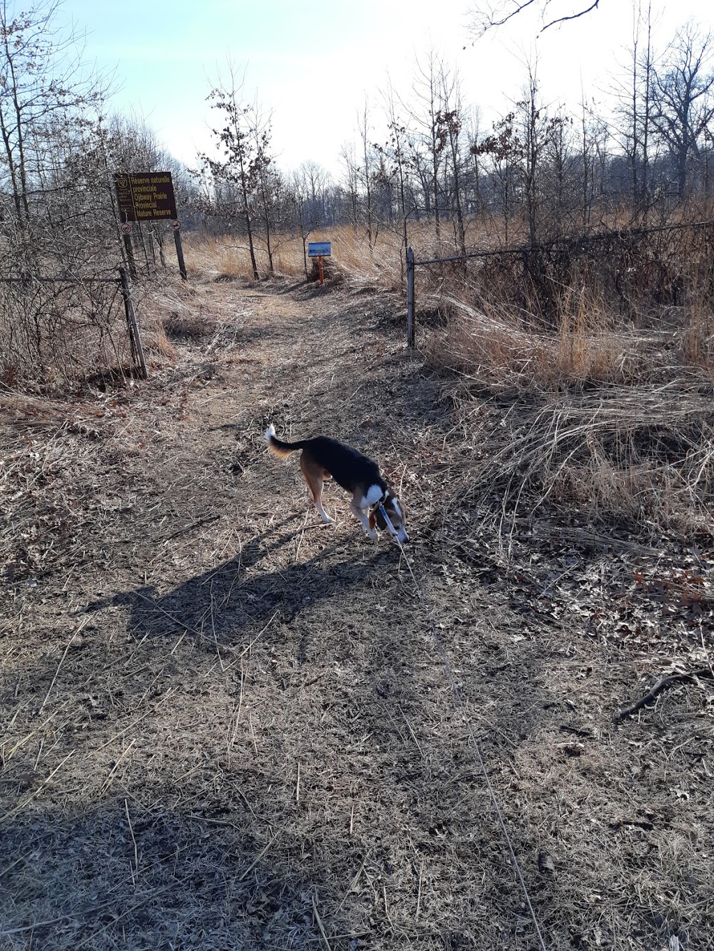 Tallgrass Prairie Heritage Park | Matchette Rd, Windsor, ON N9C, Canada | Phone: (877) 746-4311