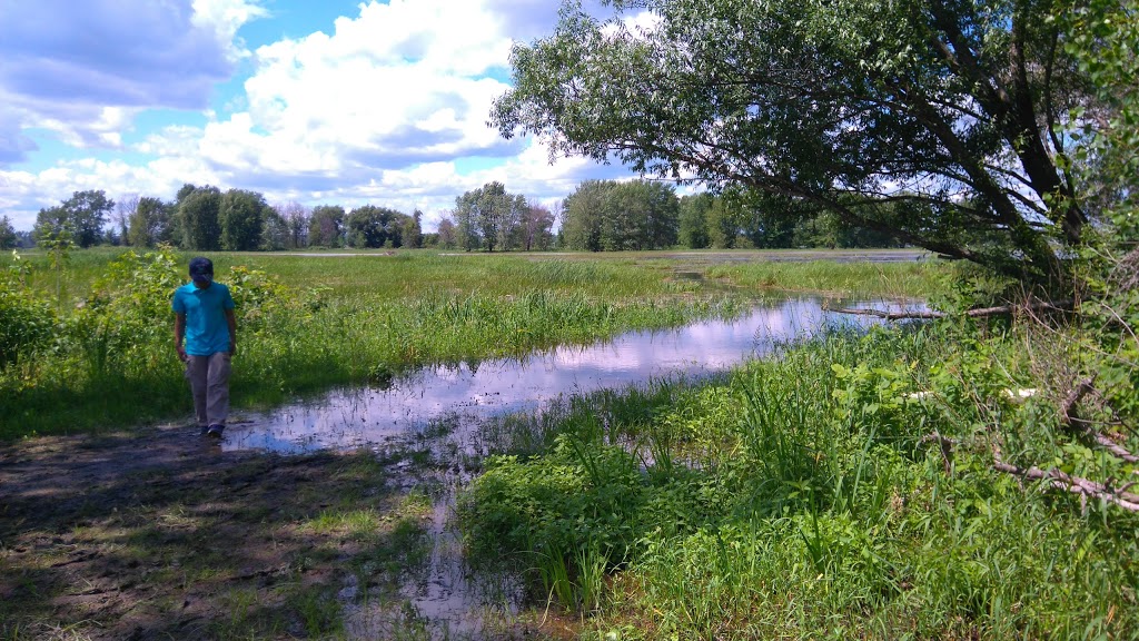 François Dupont Park | Chatelaine Village, Ottawa, ON K1E 1C8, Canada | Phone: (613) 580-2400