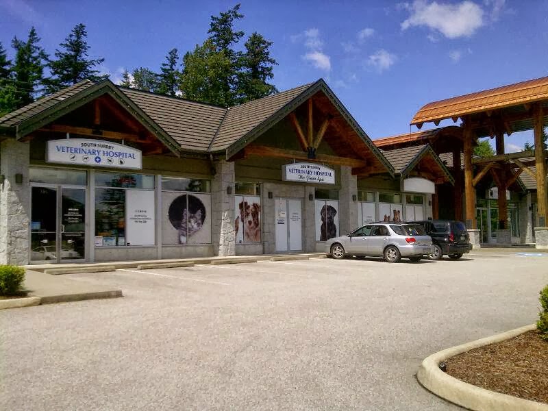 South Surrey Veterinary Hospital | 14018 32 Ave, Surrey, BC V4P 2J2, Canada | Phone: (604) 538-7874