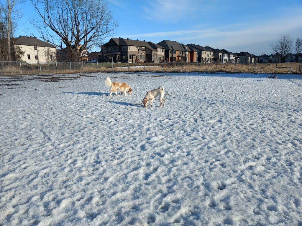 Carolines Dog Training | Barrhaven, Ottawa, ON K2J 3V2, Canada | Phone: (343) 540-9973